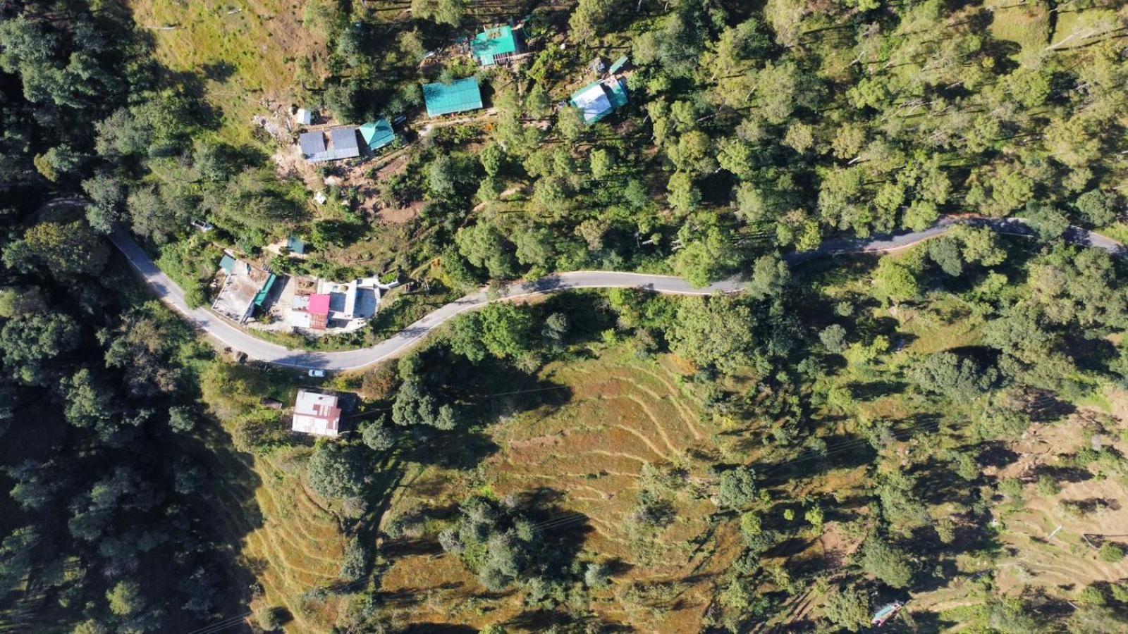 Zenoaks Homestay Almora Exteriér fotografie