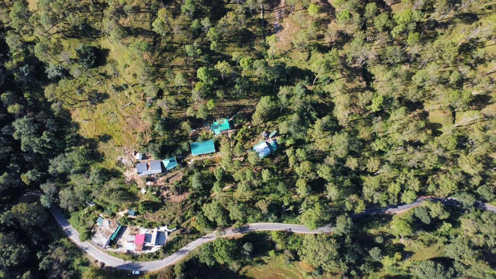 Zenoaks Homestay Almora Exteriér fotografie
